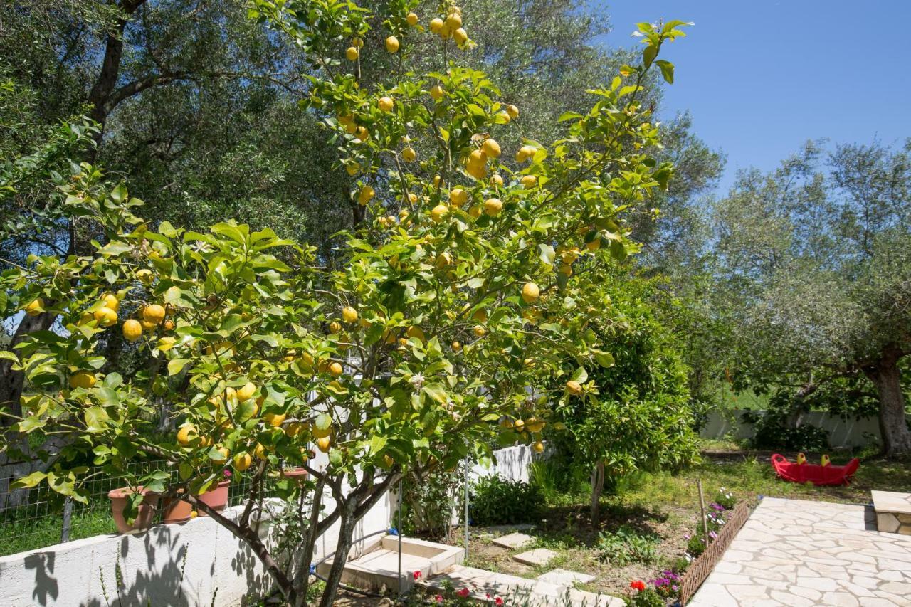 Kariá Holiday Home Lefkímmi Exteriér fotografie